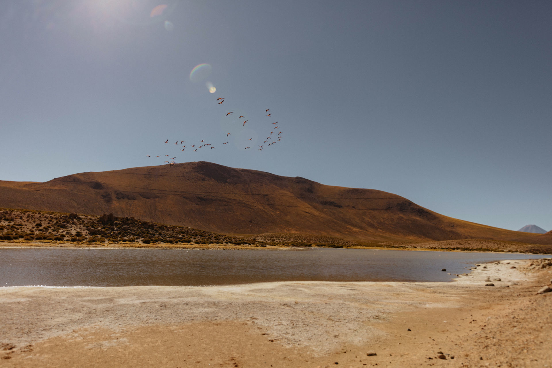 Foto Atacama Foto Atacama - Imagem 41