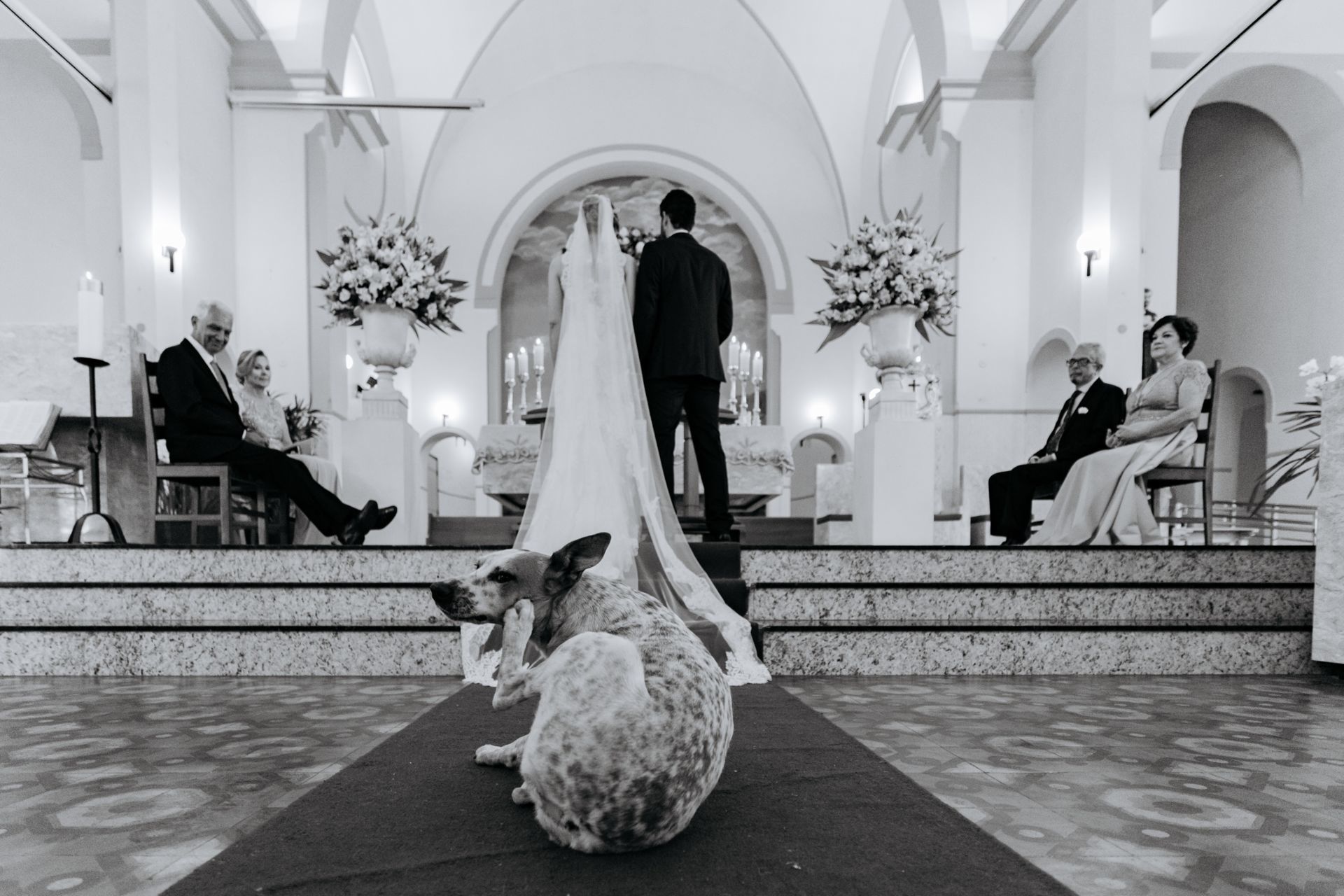 Foto Fotógrafo de casamento mais premiado Foto Fotógrafo de casamento mais premiado - Imagem 3
