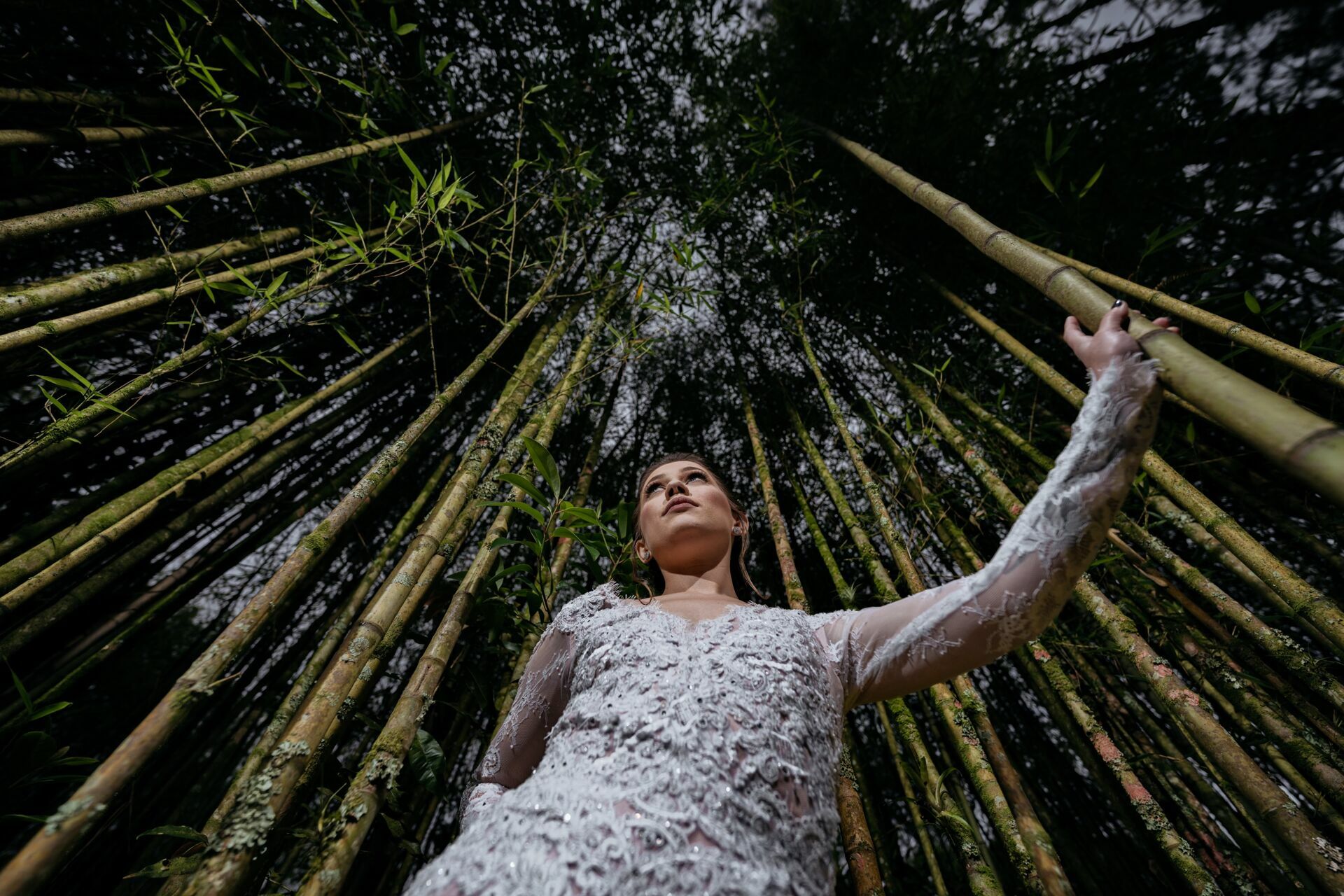 Foto Casamento espaco serra do mar - Imagem 47