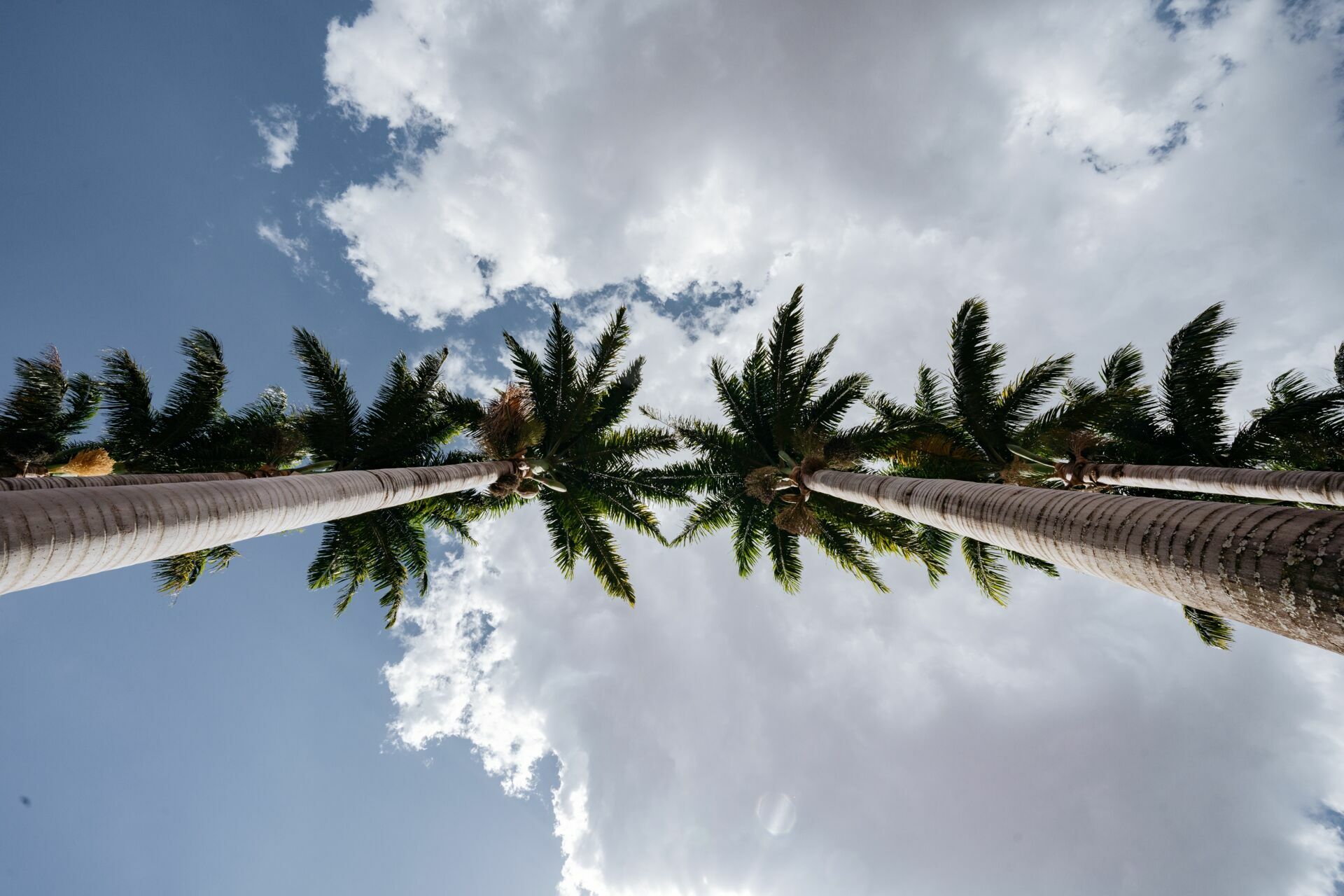 Foto Casamento Fazenda Santa Gertrudes - Imagem 2