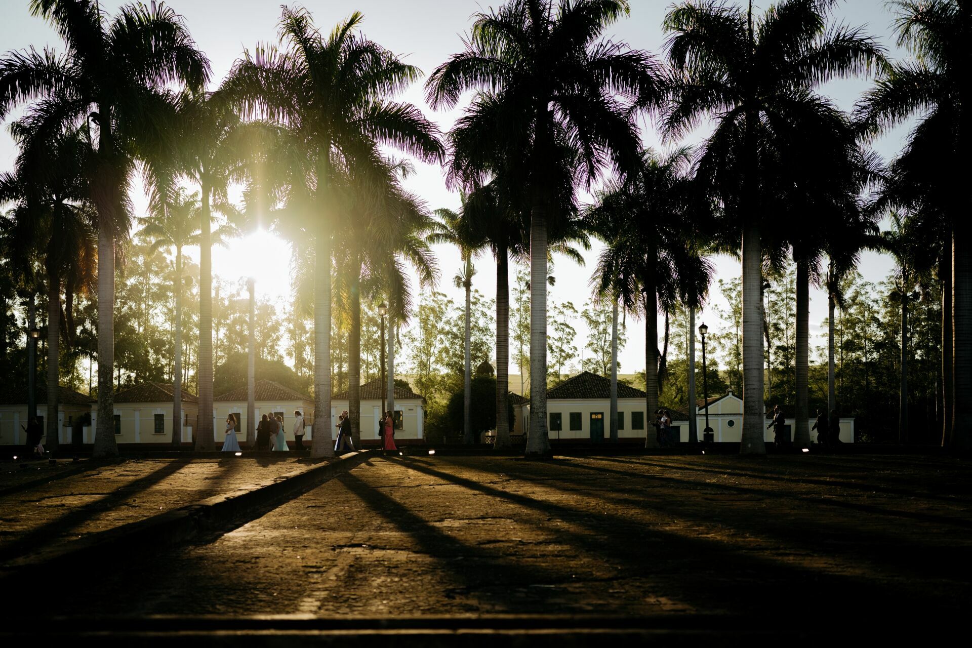 Foto Casamento Fazenda Santa Gertrudes - Imagem 49