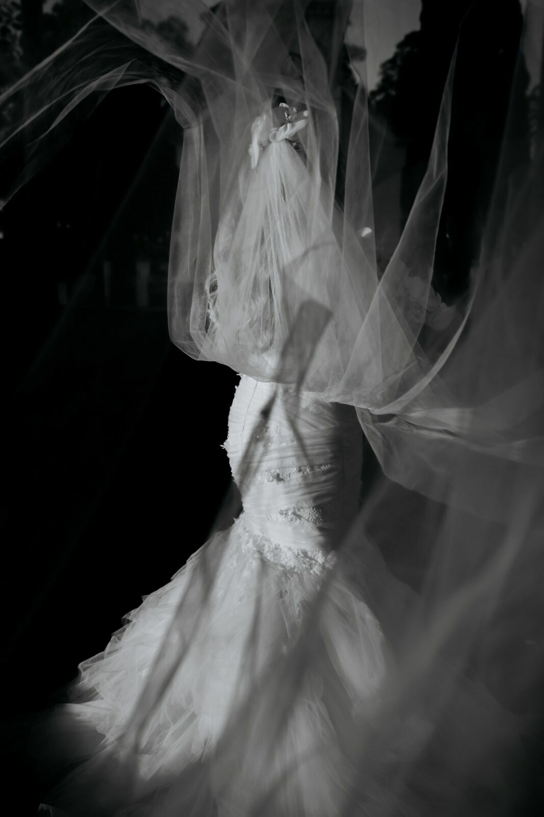 Foto Casamento Fazenda Santa Gertrudes - Imagem 51