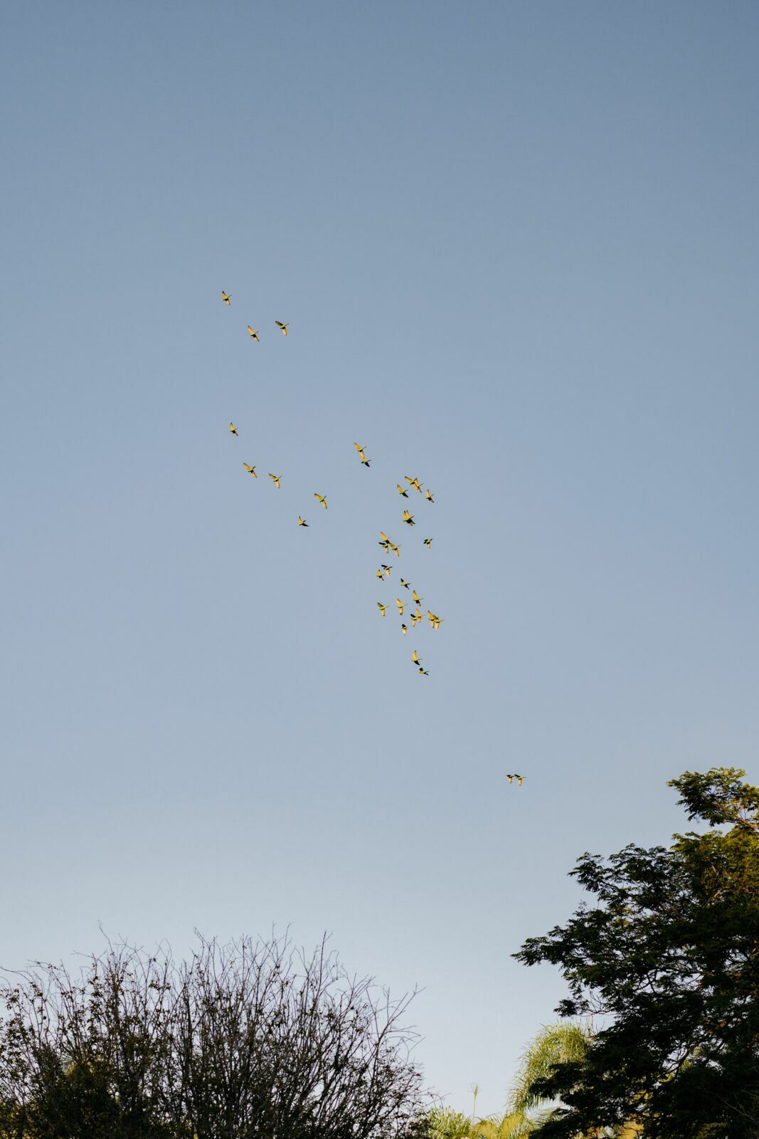 Foto Casamento Fazenda Capela do Bosque - Imagem 44