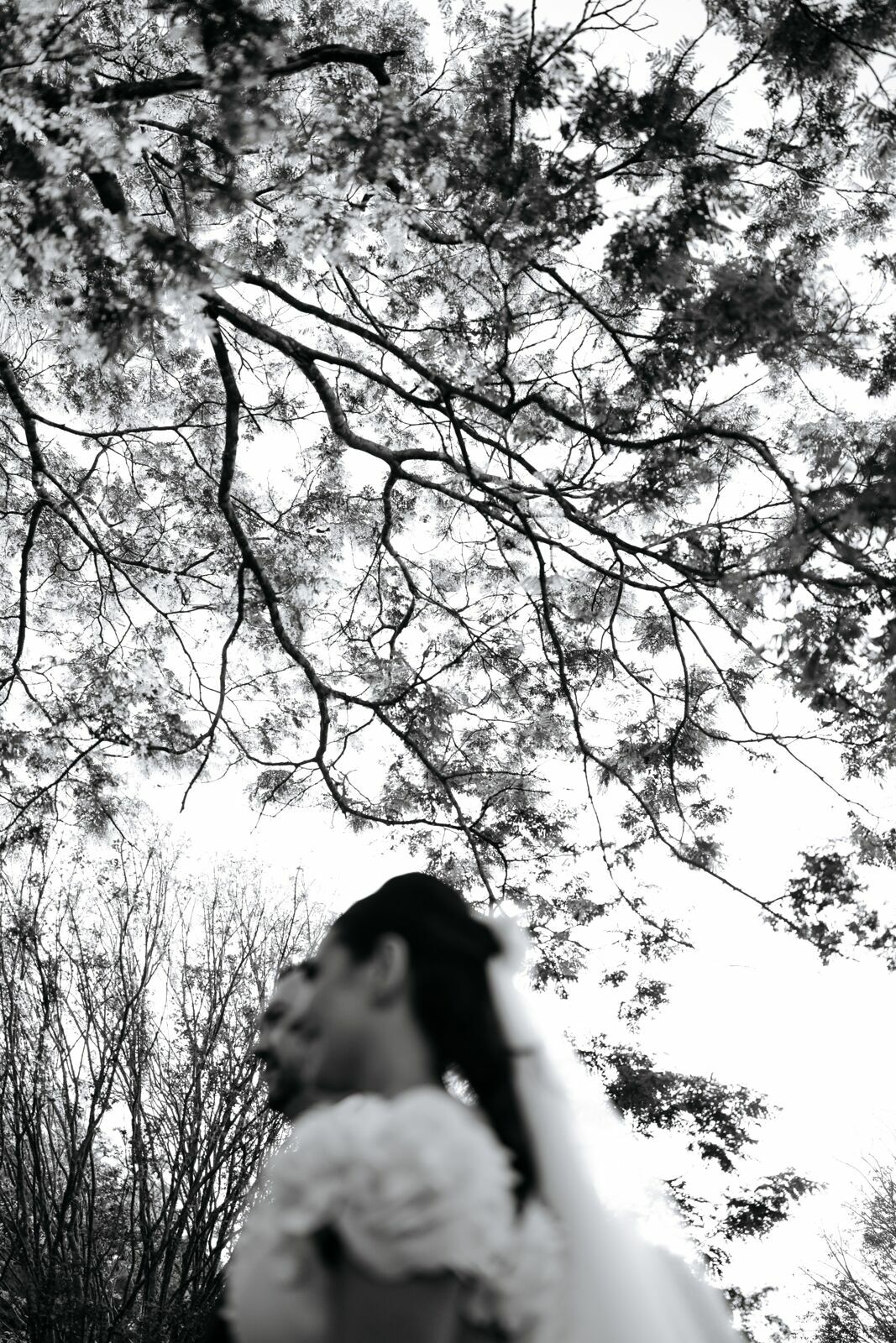 Foto Casamento Fazenda Capela do Bosque - Imagem 35