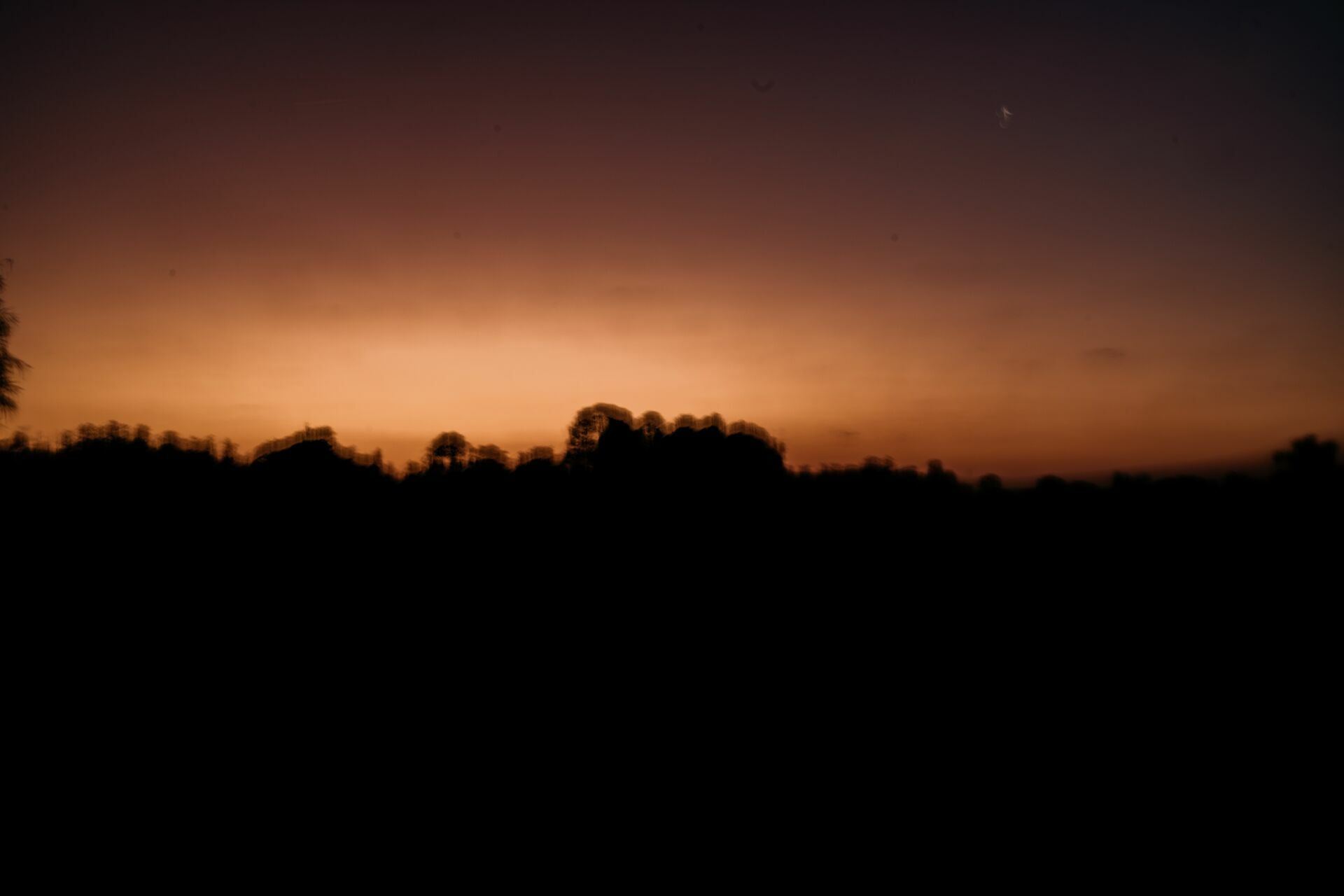 Foto Casamento Fazenda Capela do Bosque - Imagem 61