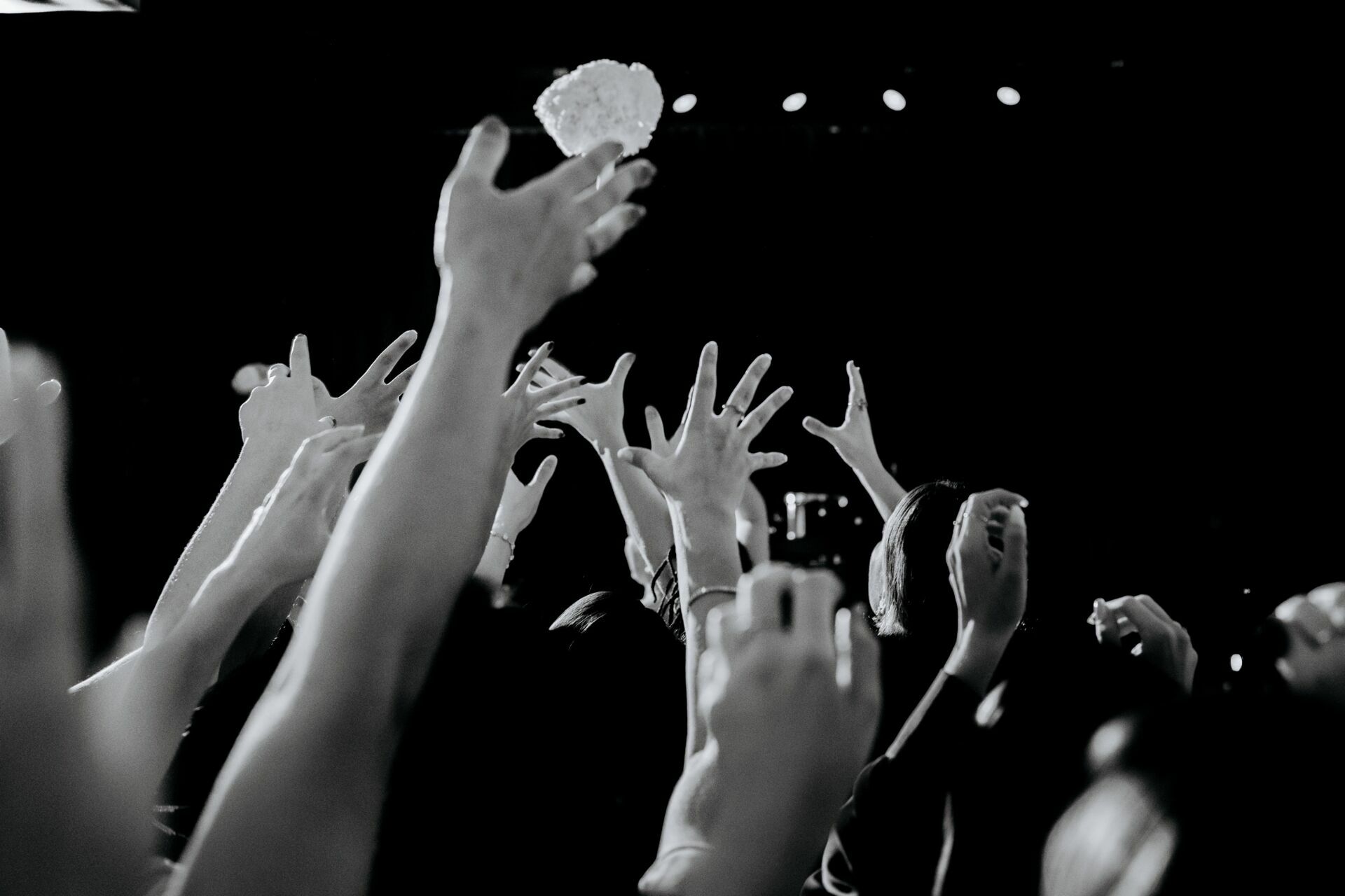 Foto Casamento Palacio Tangara - Botanico Quintal - Imagem 72