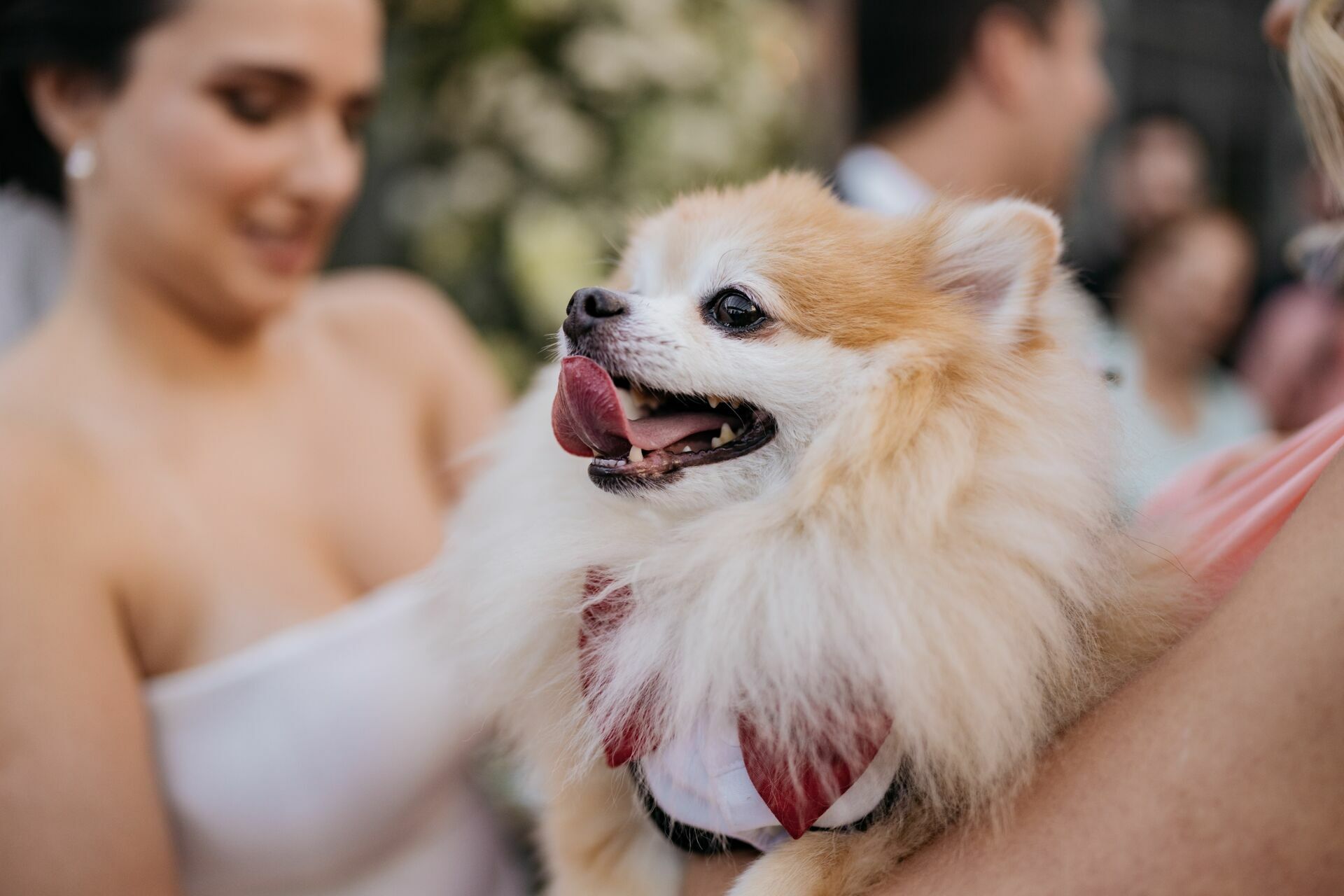 Foto Casamento Palacio Tangara - Botanico Quintal - Imagem 27