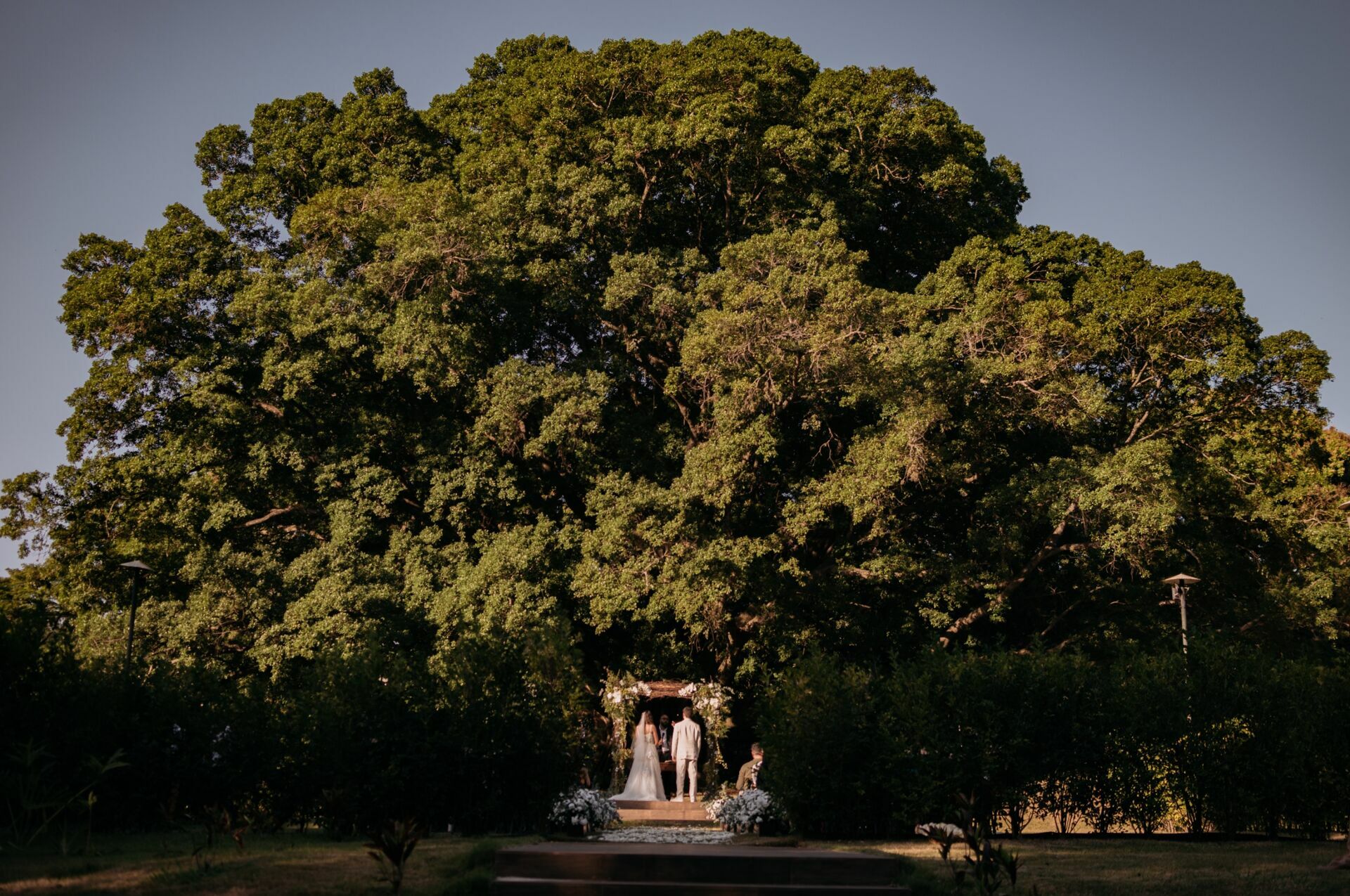 Foto Casamento Villa Ásolo 1932 - Imagem 44
