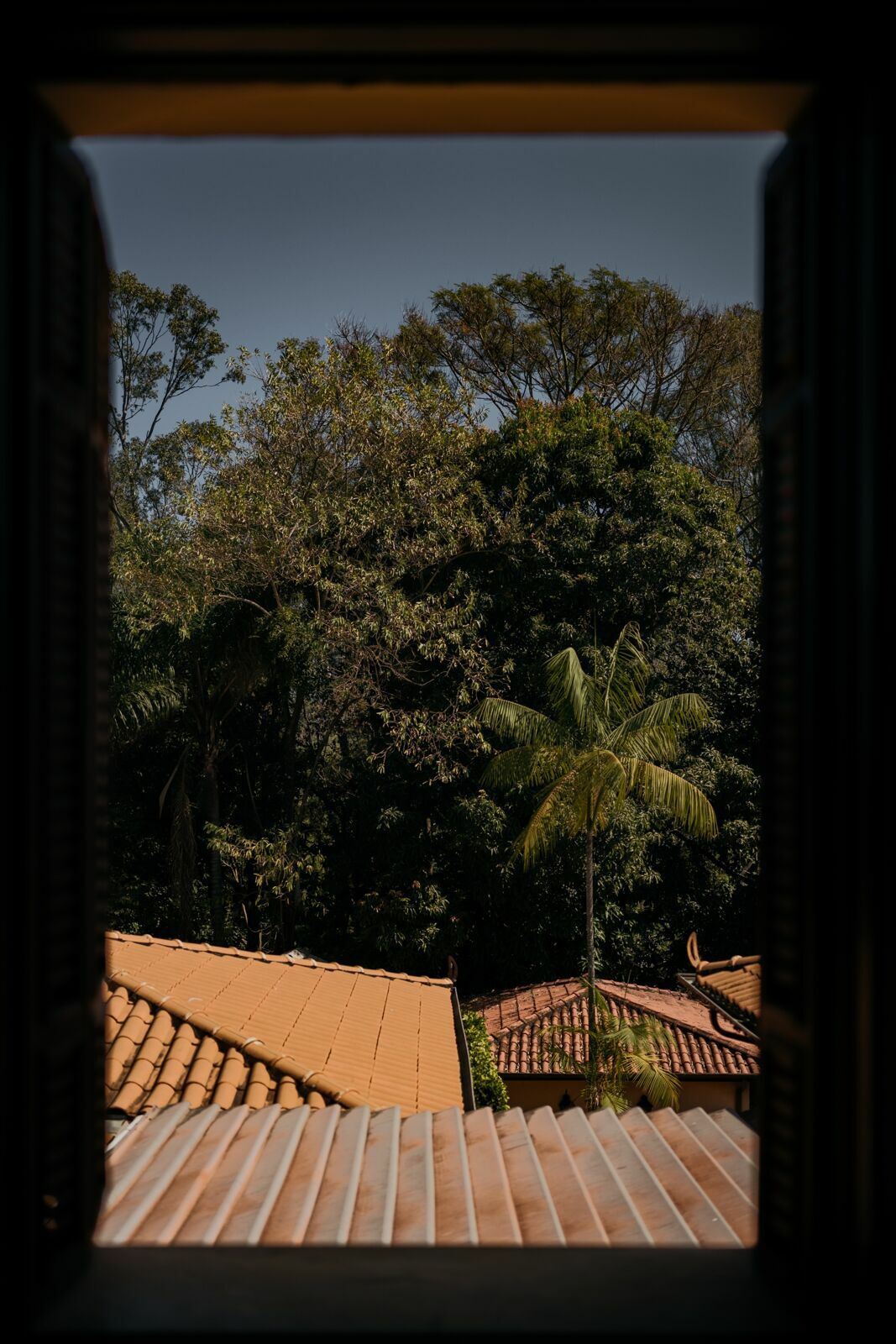 Foto Casamento Villa Ásolo 1932 - Imagem 4