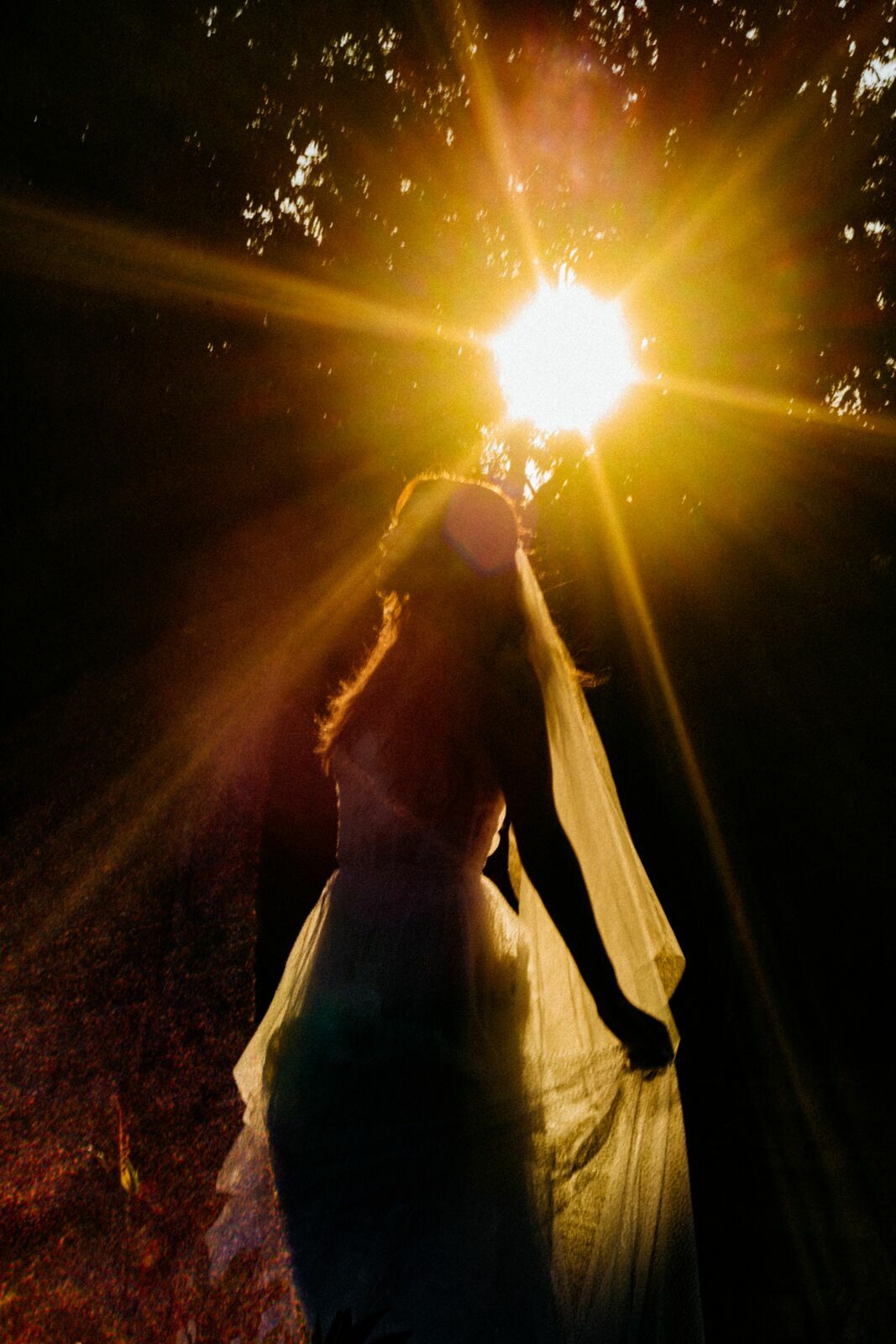 Foto Casamento Villa Ásolo 1932 - Imagem 78