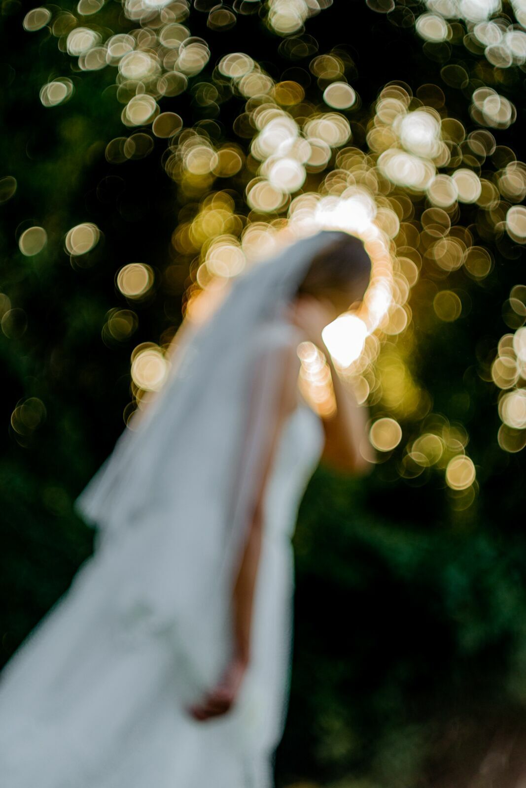 Foto Casamento Villa Ásolo 1932 - Imagem 81
