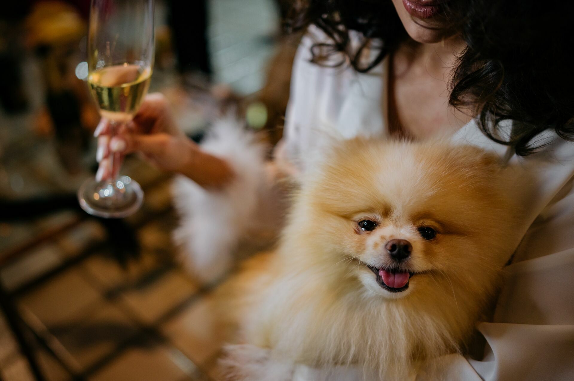 Foto casamento casa noma - Imagem 0