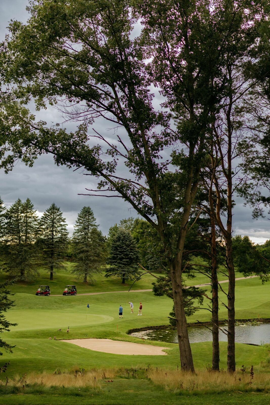 Foto wedding the medalist golf club - Imagem 0