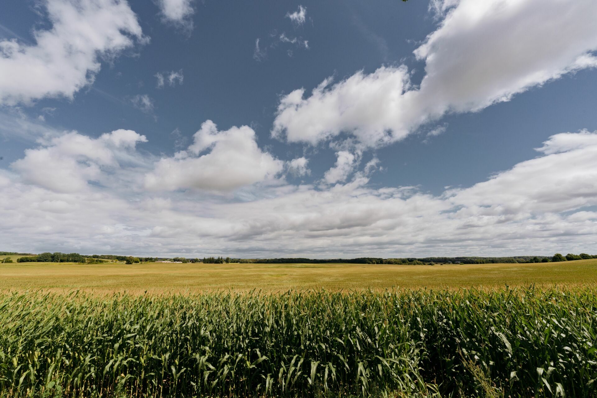 Foto wedding Wakefield Estate Wedding Venue - Imagem 0