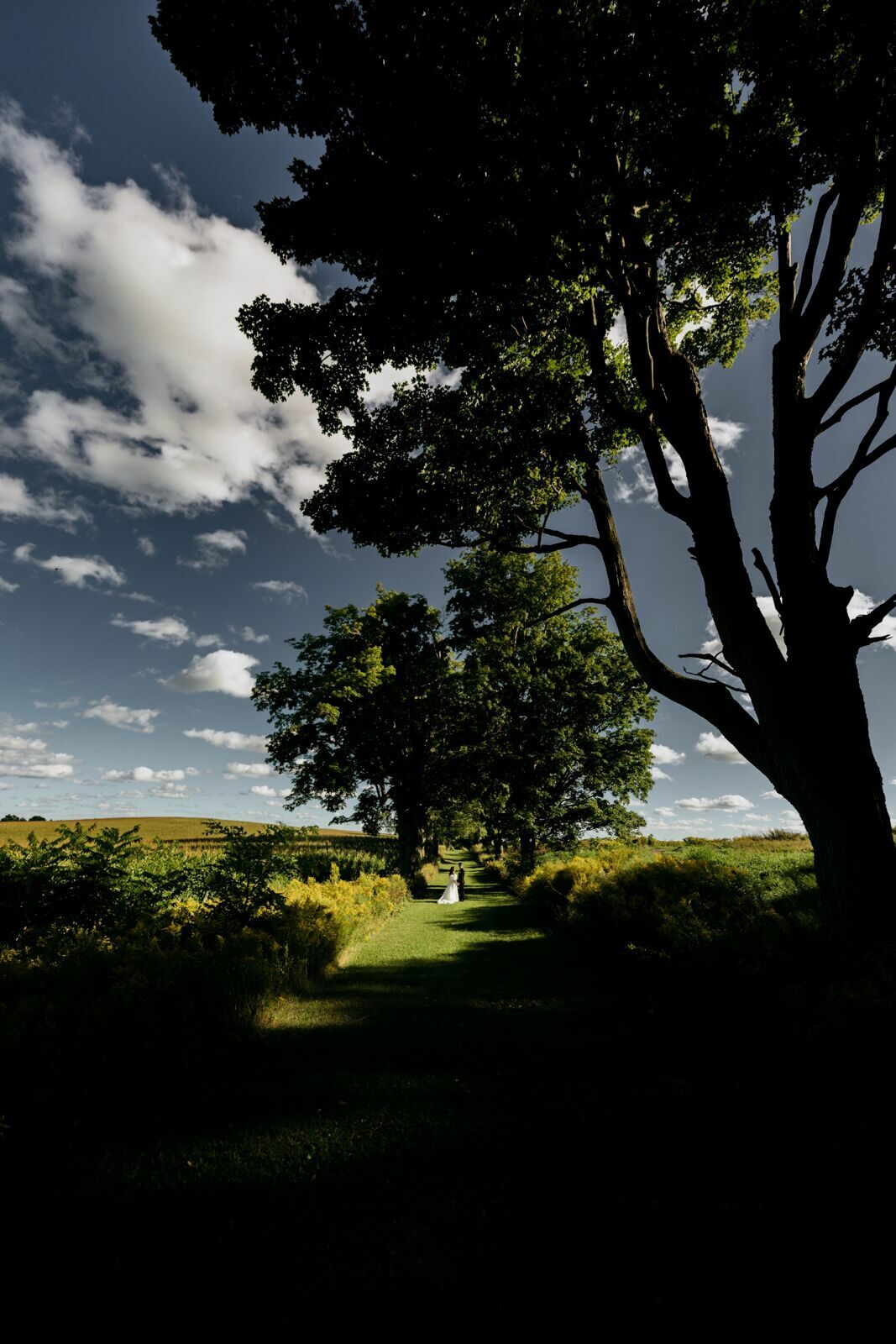 Foto wedding Wakefield Estate Wedding Venue - Imagem 34