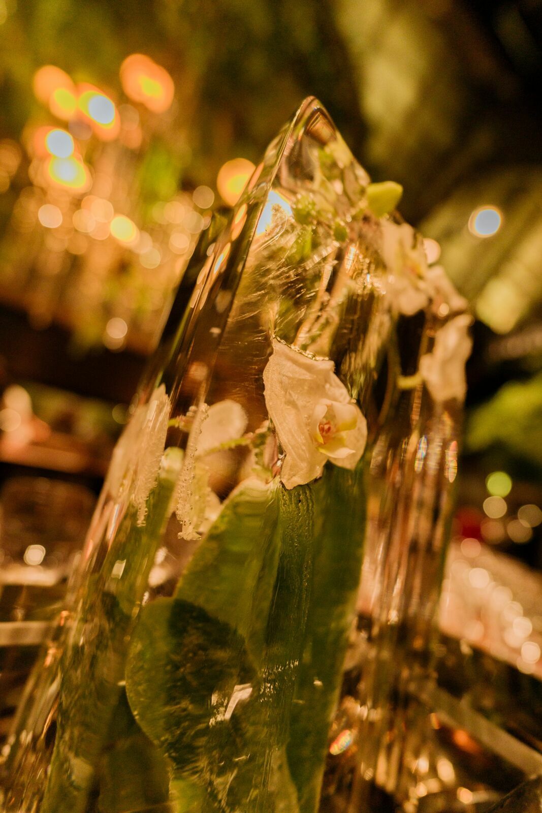 Foto Casamento Patuanu Brasilia - Imagem 43