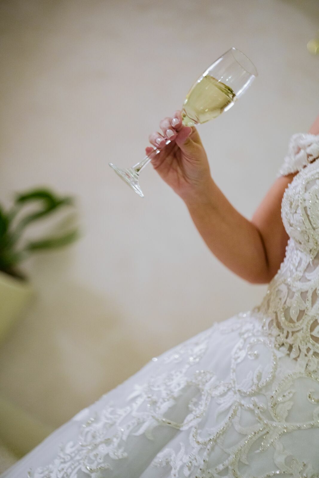 Foto casamento Welucci Gardens - Imagem 3