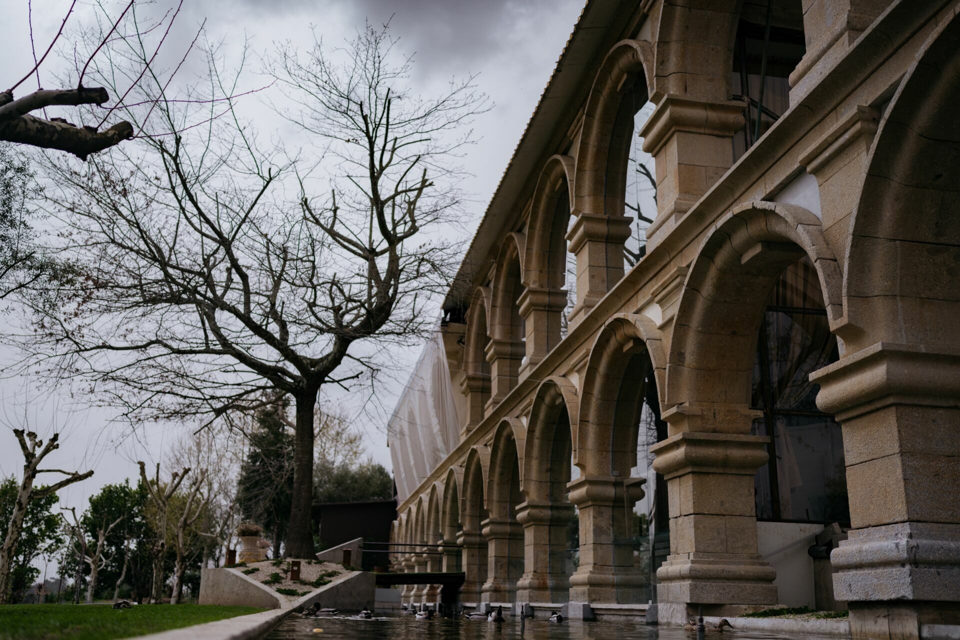 Foto Casamento Solar da levada - Solar das Bouças   - Imagem 7