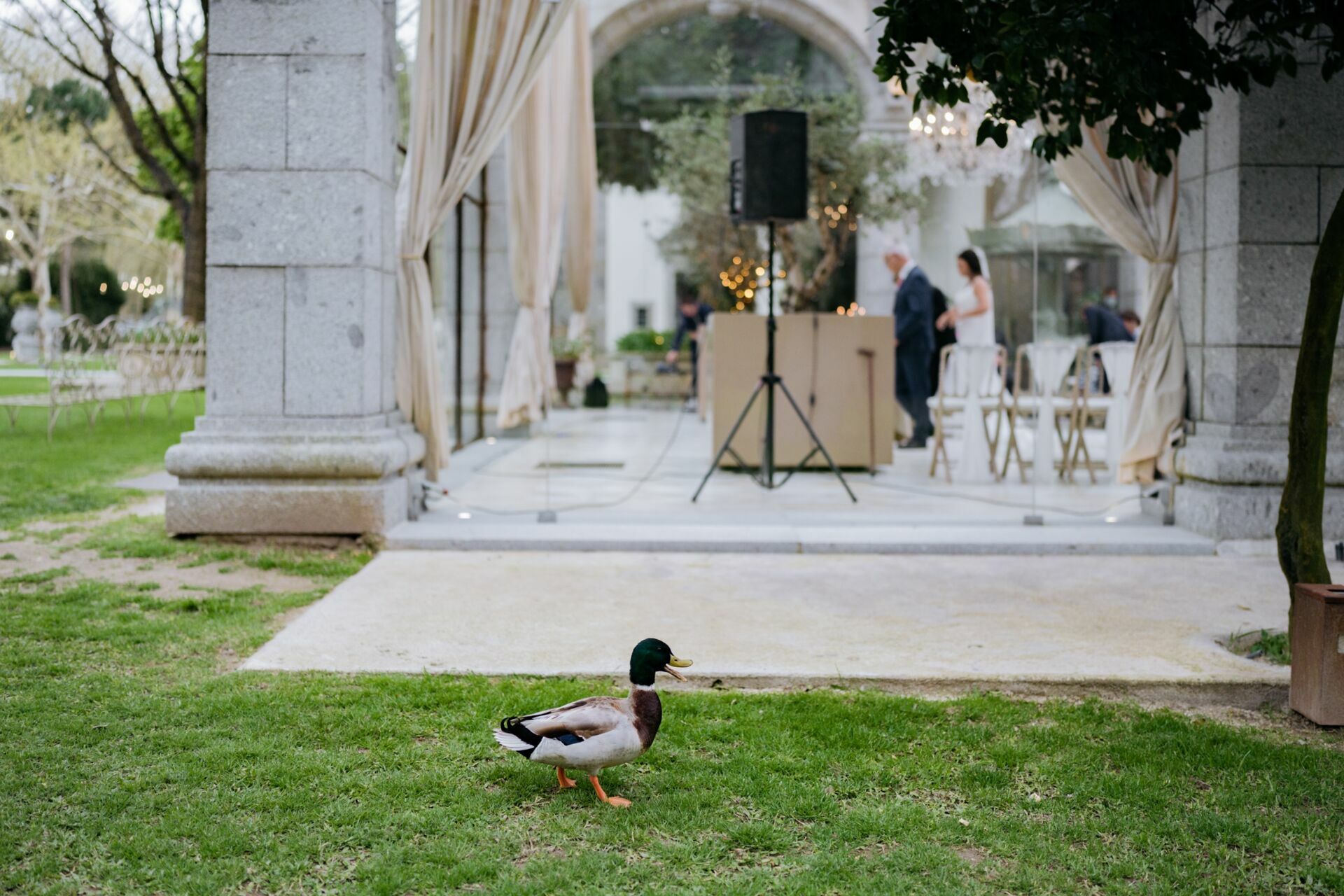 Foto Casamento Solar da levada - Solar das Bouças   - Imagem 17
