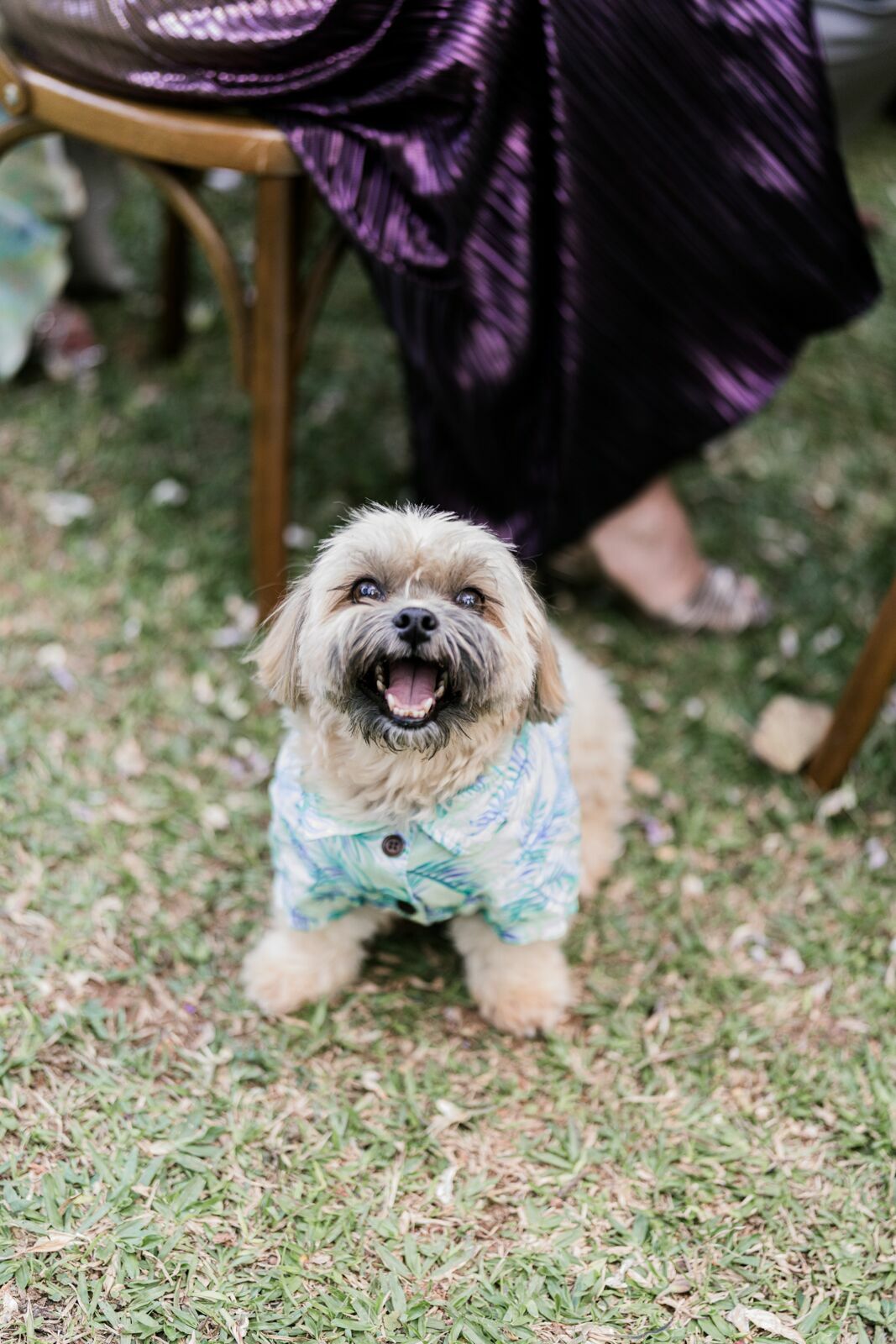 Foto casamento Vila dos Eucaliptos - Imagem 19