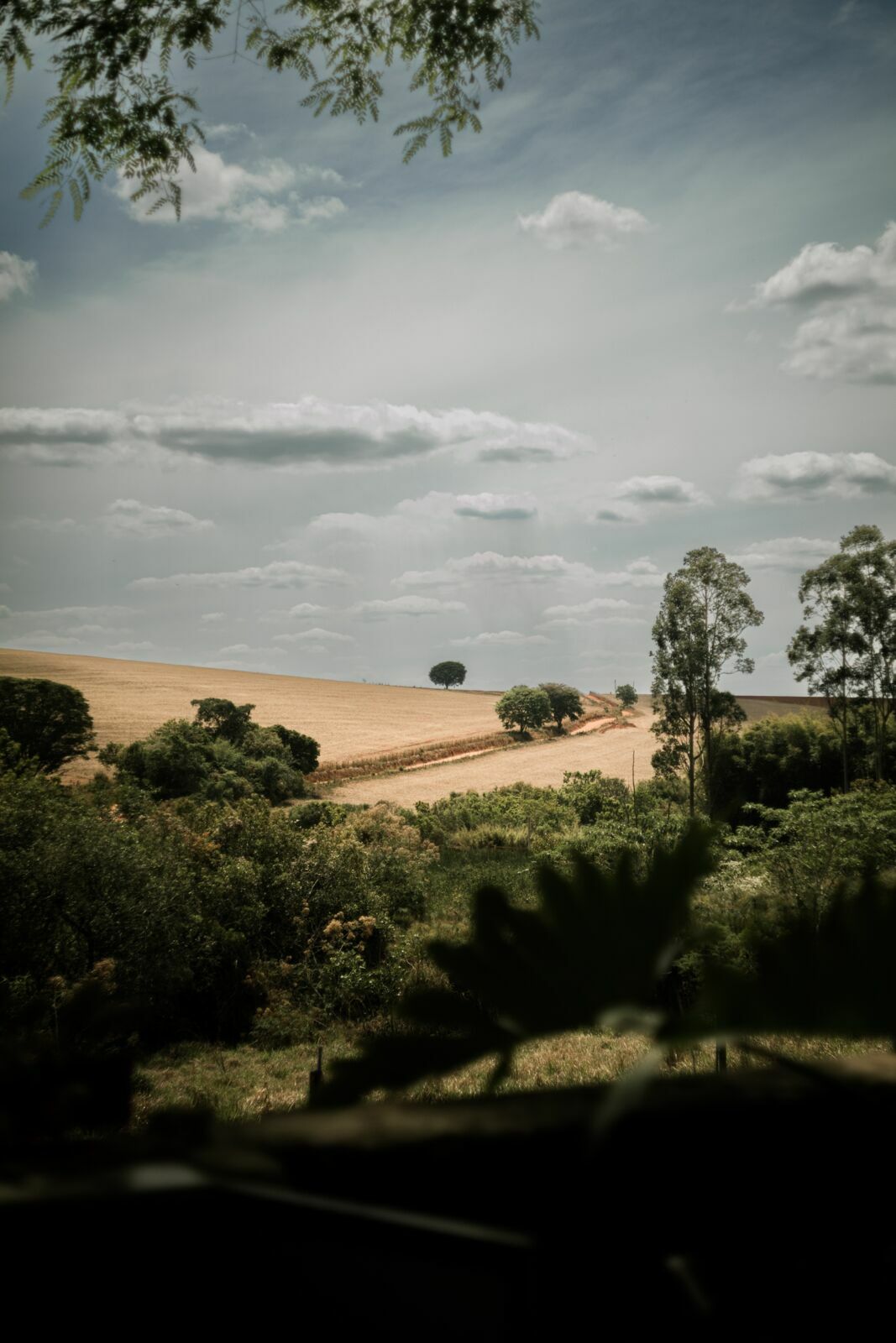 Foto Casamento Fazenda Cotta Fotografia Documental - Imagem 0