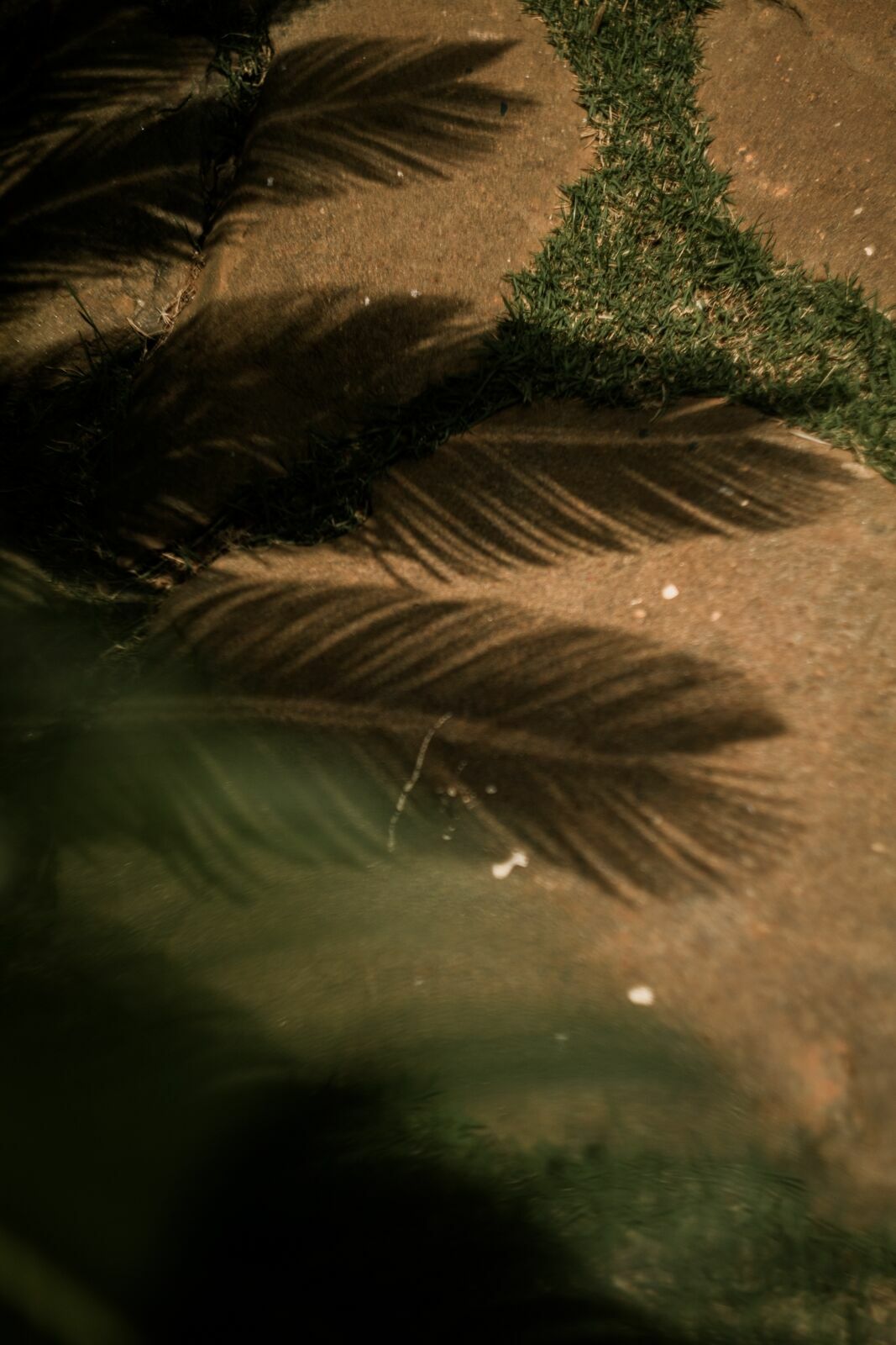 Foto Casamento Fazenda Cotta Fotografia Documental - Imagem 4