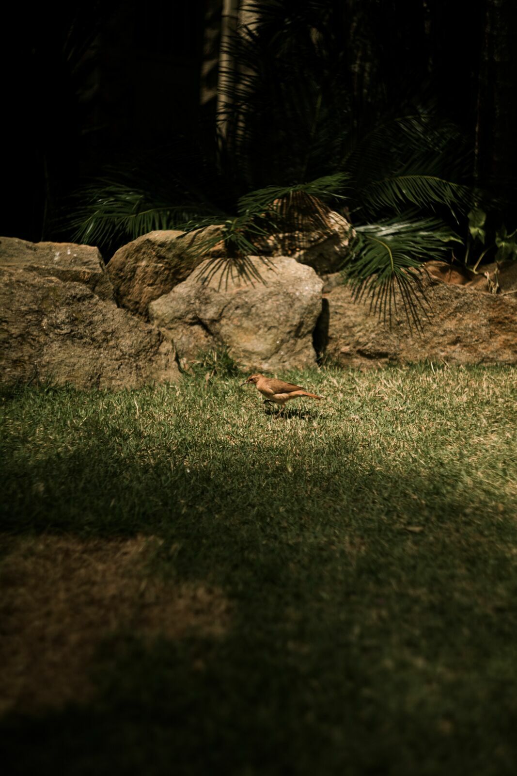 Foto Casamento Fazenda Cotta Fotografia Documental - Imagem 3